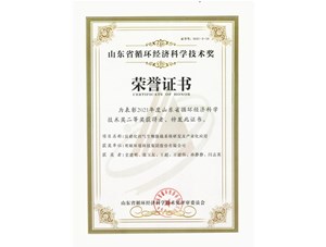 热烈：豖PJ环境集团获得2021年度山东省循环经济科学技术奖二等奖